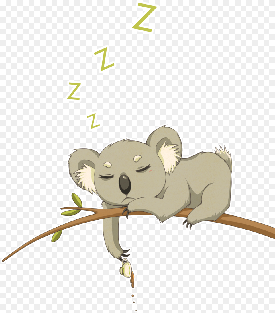 Drawn Koala Cute Koala Drawing, Animal, Mammal, Wildlife, Kangaroo Png Image