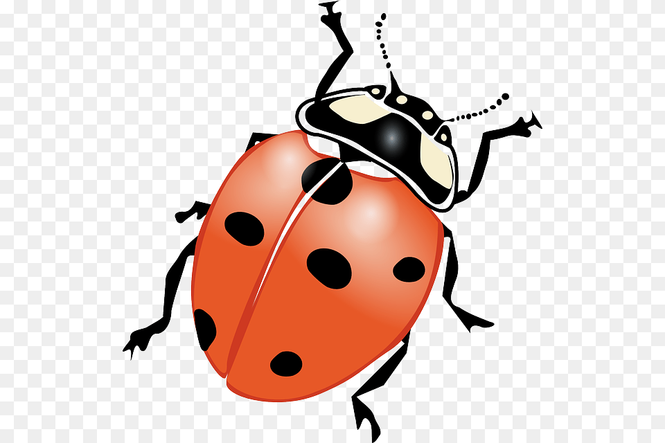 Drawn Lady Beetle Clipart, Animal, Nature, Outdoors, Snow Free Transparent Png