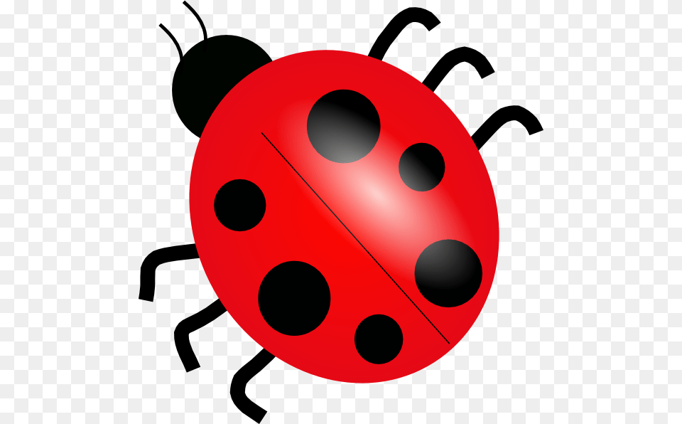 Drawn Ladybug Ant, Sphere Png Image