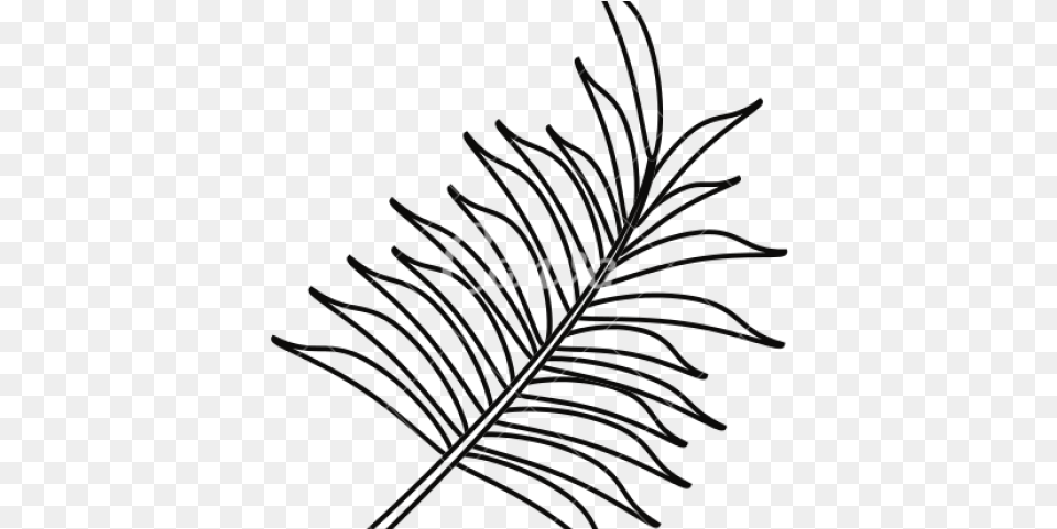 Drawn Leaves Banana Palm Leaf Outline, Chandelier, Lamp, Text Free Transparent Png
