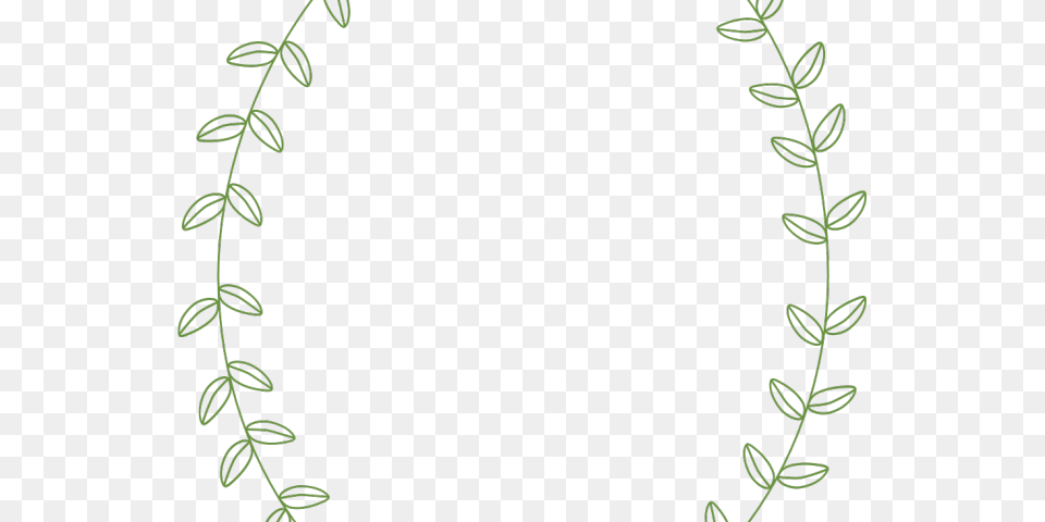 Drawn Leaves Leaf Border, Green, Pattern, Plant, Oval Free Png