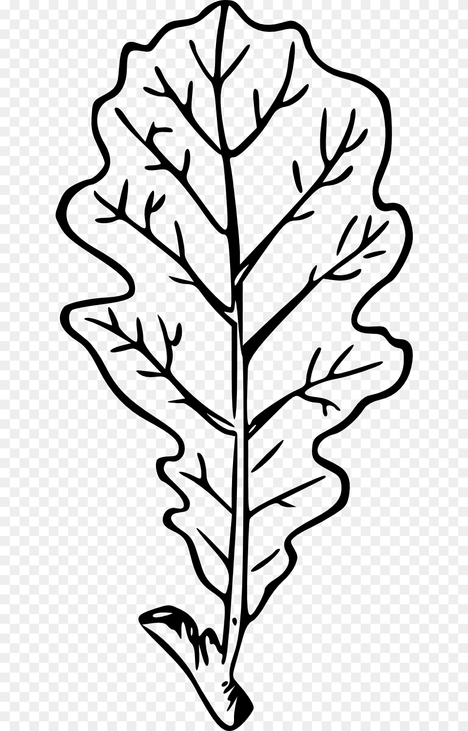 Drawn Leaves Transparent Drawing, Leaf, Plant, Stencil, Tobacco Png