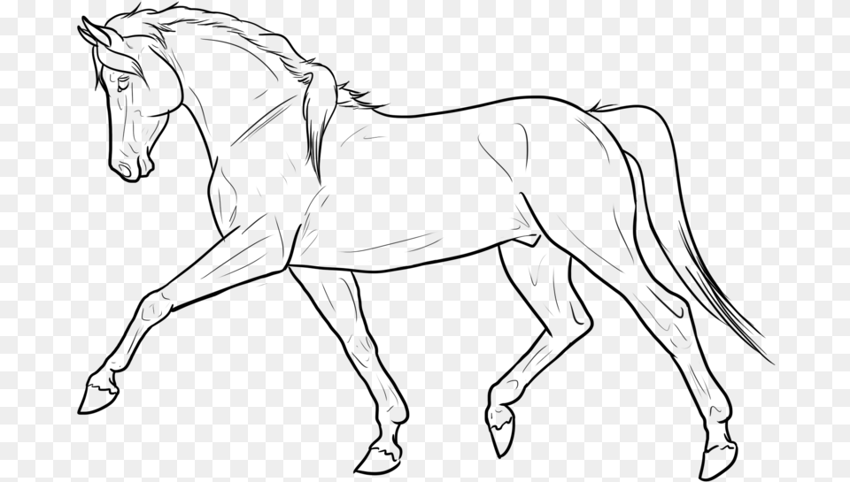 Drawn Lines Transparent Transparent Horse Lines, Gray Free Png