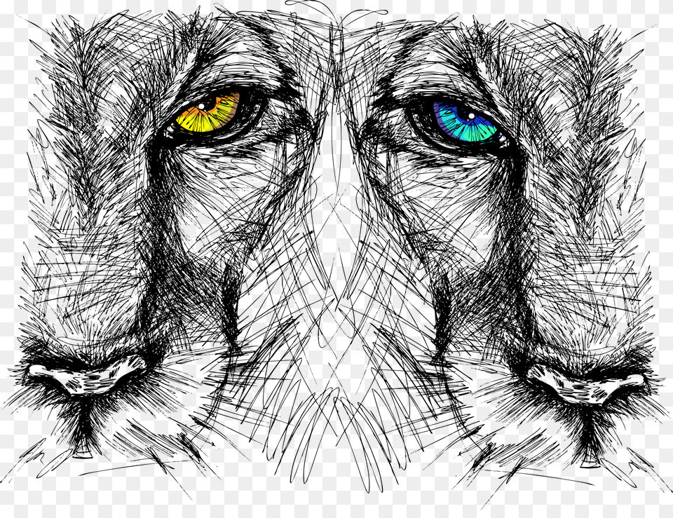 Drawn Lion Nature Lion Eyes Sketch, Accessories, Gemstone, Jewelry, Animal Png