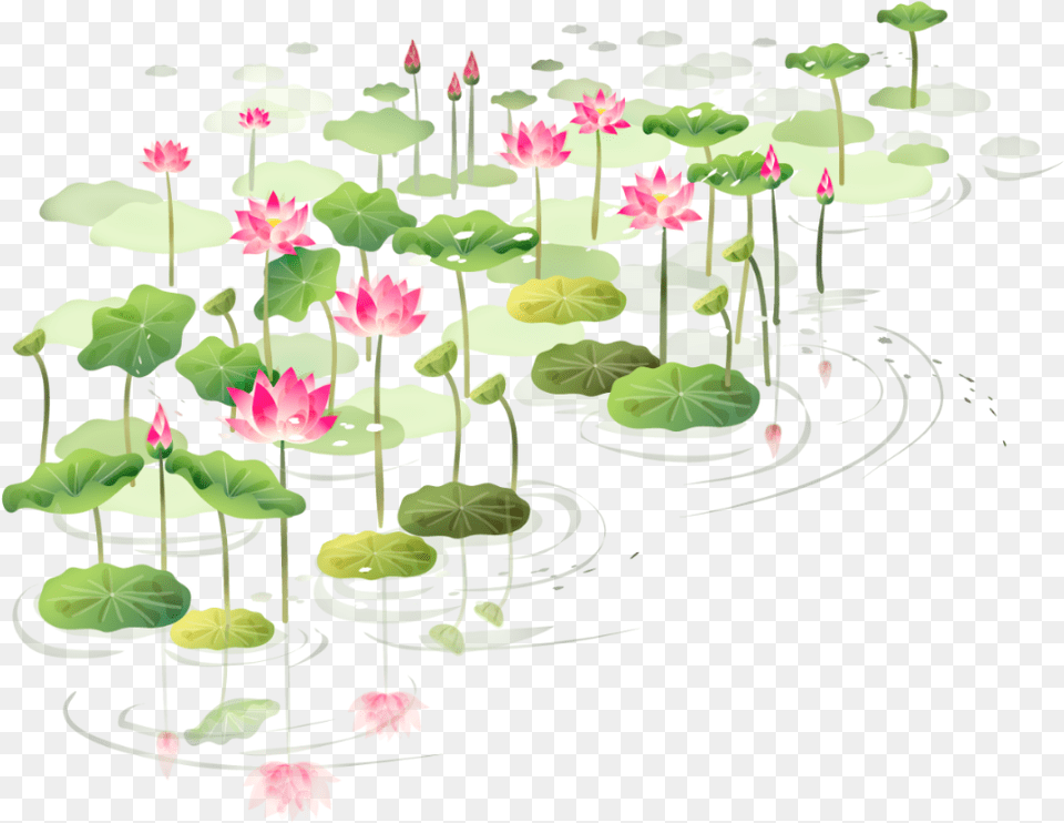 Drawn Lotus Shapla Floral Lotus Frame, Flower, Plant, Lily, Outdoors Png