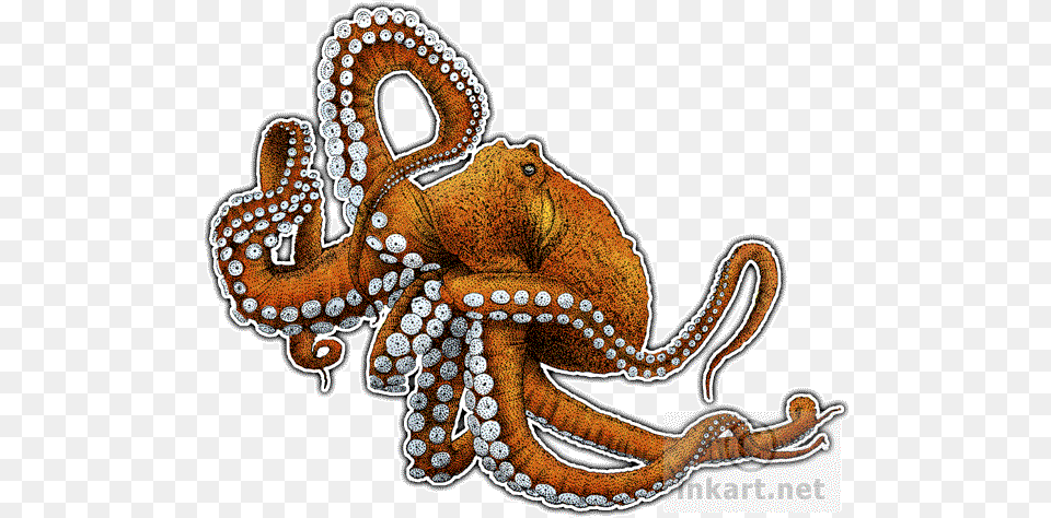 Drawn Octopus Transparent Background, Animal, Invertebrate, Sea Life Png