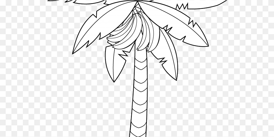 Drawn Palm Tree Banana Tree Coloring Book, Stencil, Art, Publication, Silhouette Free Png Download