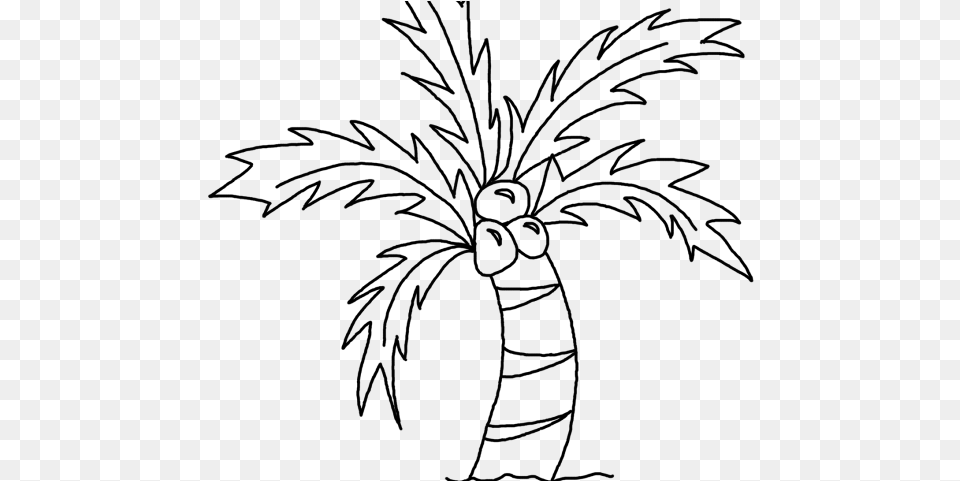 Drawn Palm Tree Line Coconut Tree Sketch, Gray Png Image