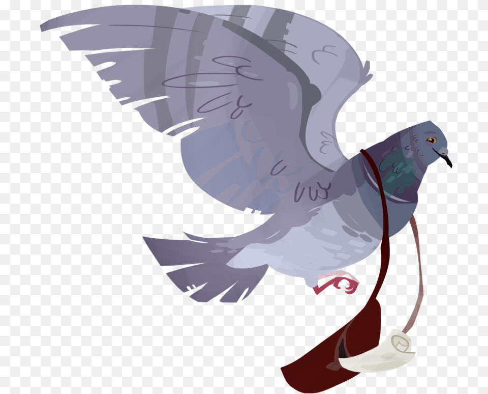 Drawn Pigeon Carrier Pigeon Carrier Pigeon, Animal, Bird, Person, Dove Free Transparent Png