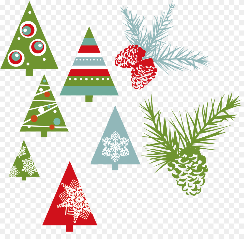 Drawn Pine Cone Evergreen Vector Graphics Download, Plant, Tree, Triangle, Conifer Free Png