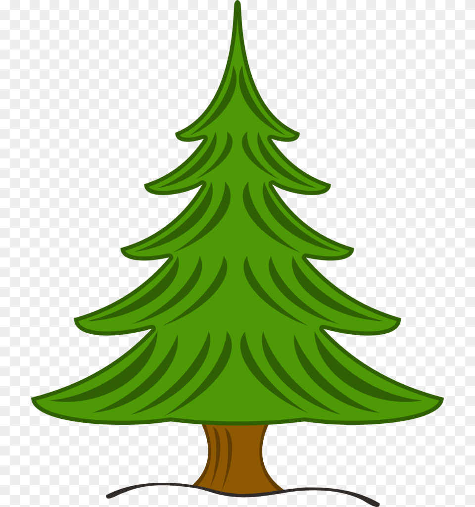 Drawn Pine Tree Drawing, Plant, Green, Fir, Outdoors Free Png Download
