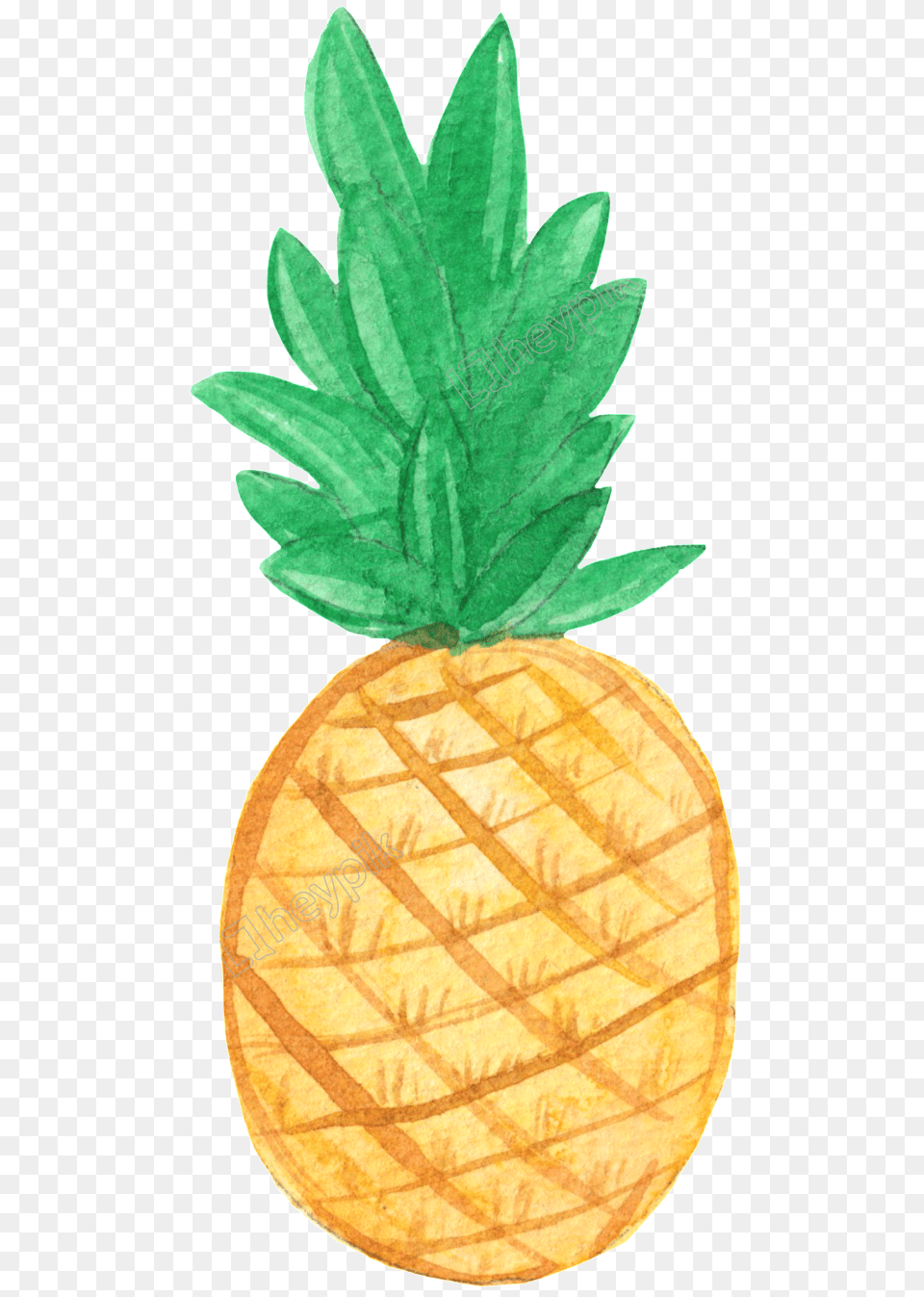 Drawn Pineapple Pineapple Hello, Food, Fruit, Plant, Produce Png