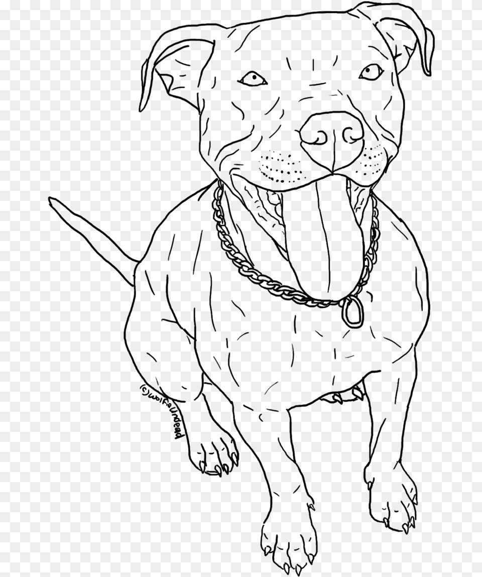 Drawn Pitbull American Pitbull Pitbull Line Art, Gray Free Png Download