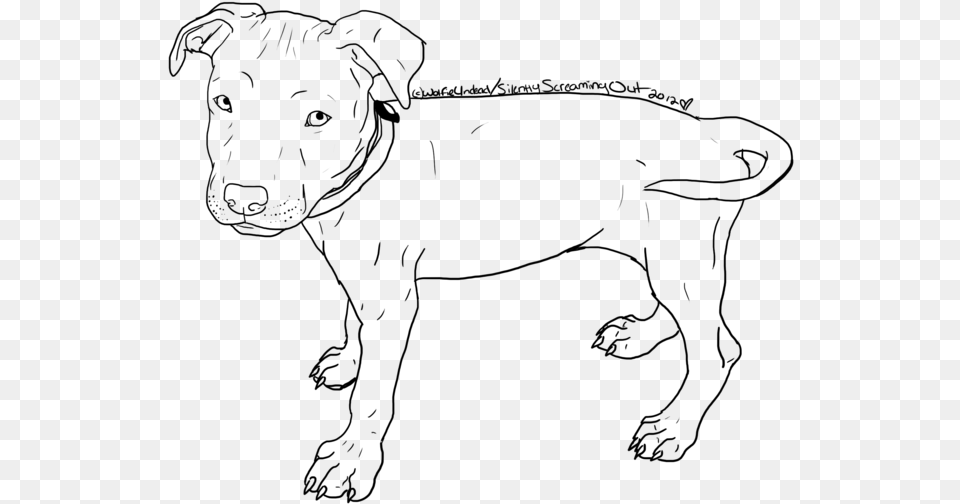 Drawn Pitbull American Pitbull Pitbull Sketch, Gray Free Png Download