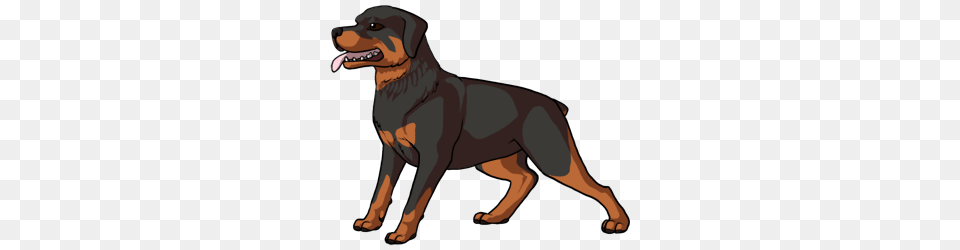 Drawn Pitbull Adult, Person, Woman, Female Free Transparent Png