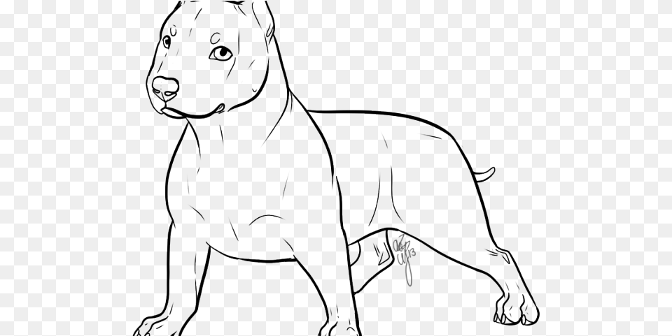 Drawn Pitbull Transparent Drawing, Animal, Pet, Canine, Mammal Png Image