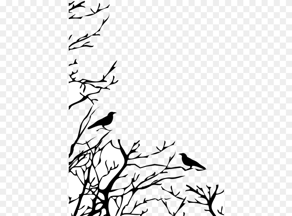 Drawn Raven Tree Branch Crow On A Tree, Silhouette, Art, Stencil, Adult Png
