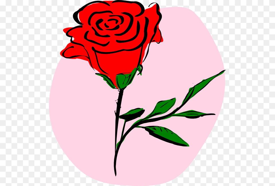 Drawn Red Rose Cool, Flower, Plant Png Image