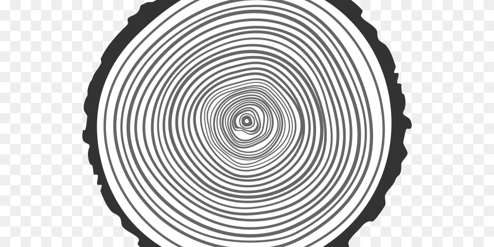 Drawn Ring Hand Drawn Rings Of A Tree Line Art, Coil, Spiral Free Transparent Png