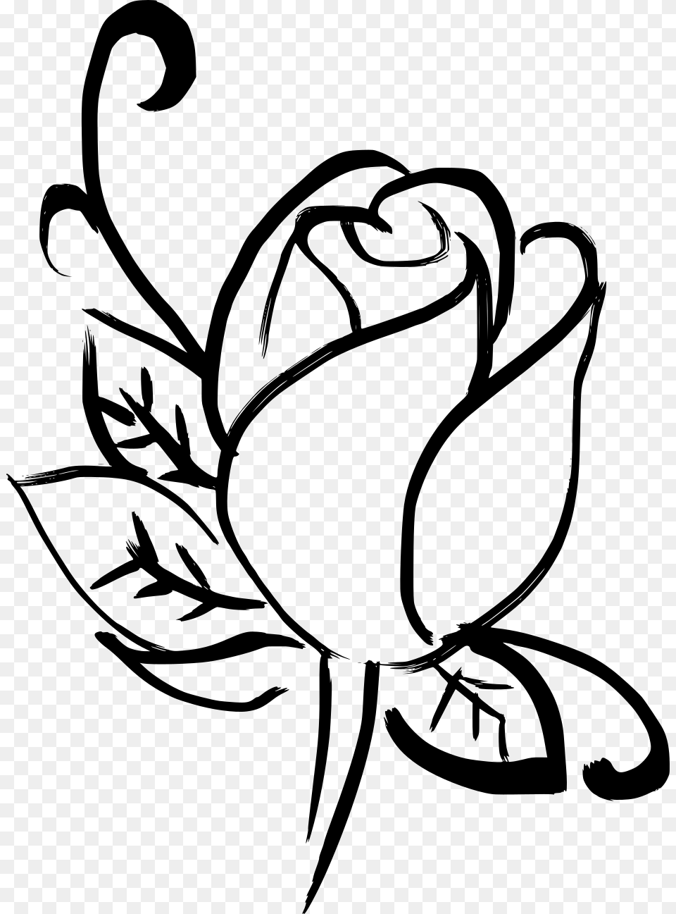Drawn Rose Art Rose Digital Drawing, Gray Free Png