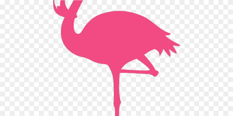 Drawn Santa Hat Clear Background Flightless Bird Full Clip Art, Animal, Flamingo, Baby, Person Free Transparent Png