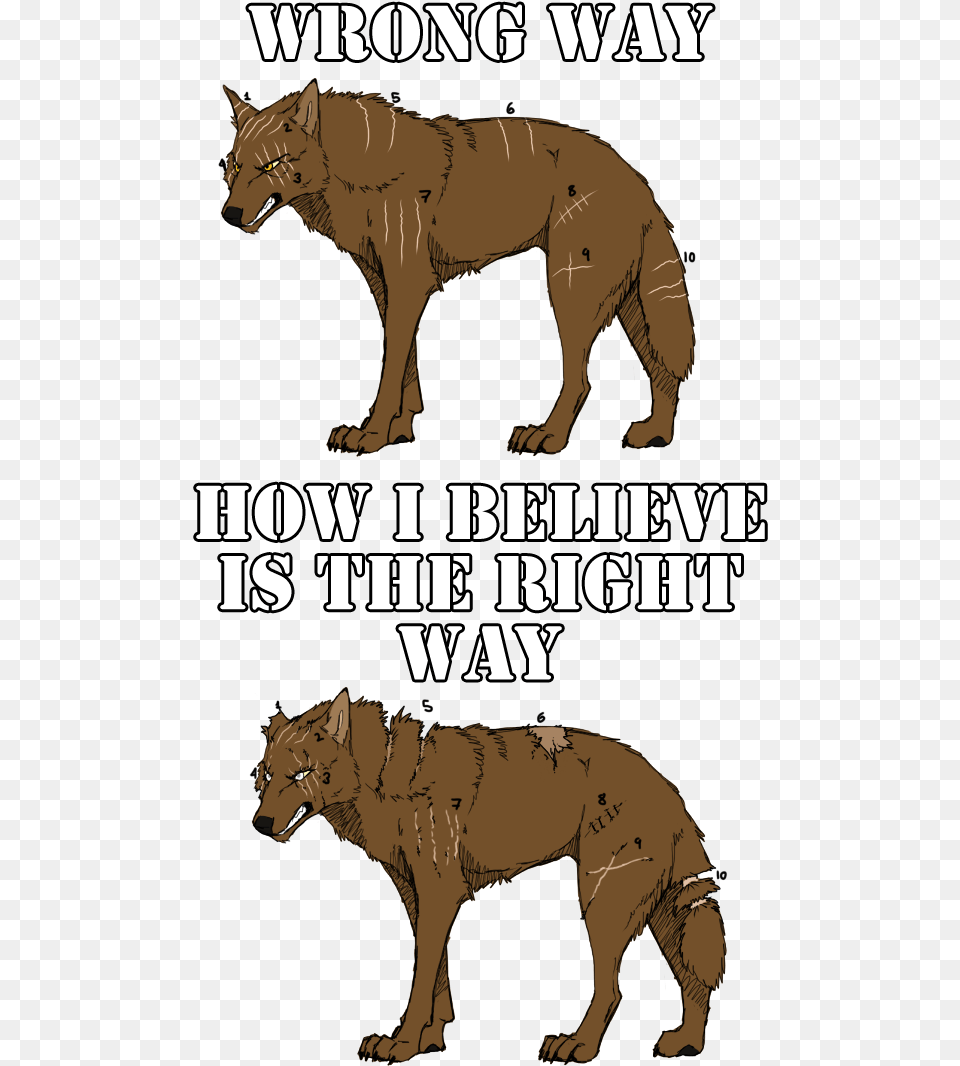 Drawn Scar Anime Face Wolf Cliches, Animal, Coyote, Mammal, Horse Free Png