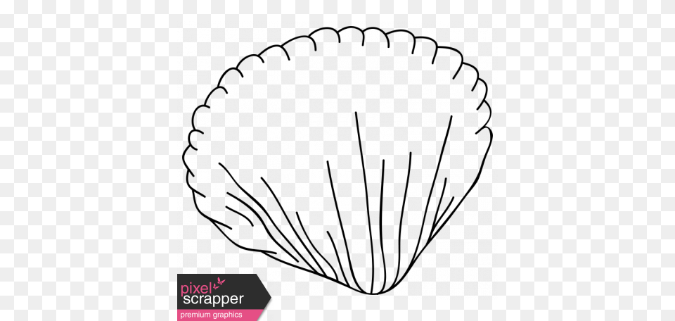 Drawn Shell Clam, Animal, Seafood, Sea Life, Invertebrate Free Transparent Png