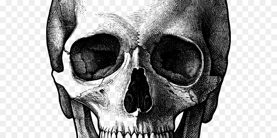 Drawn Skull Face Skull Drawing, Firearm, Gun, Rifle, Weapon Png