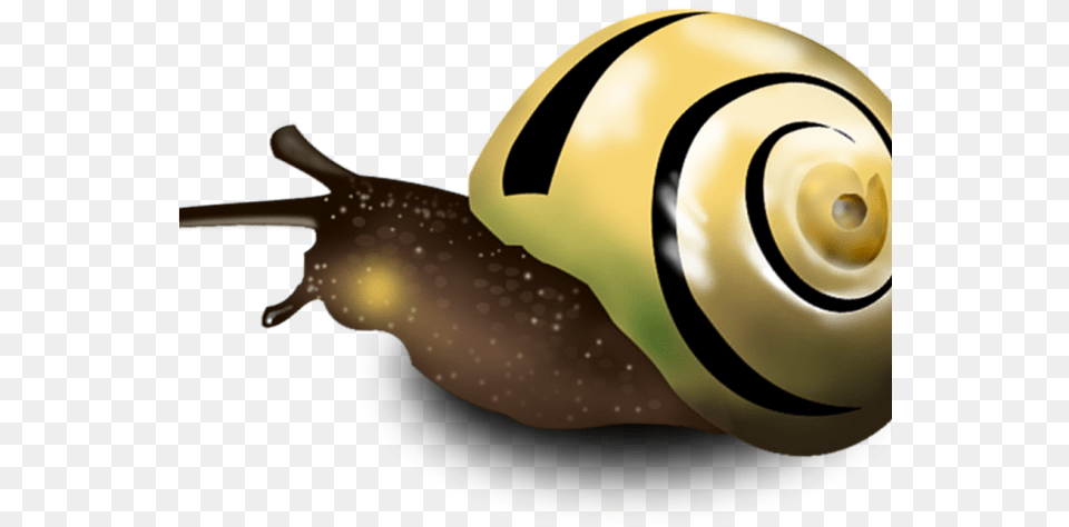 Drawn Snail Slug, Animal, Invertebrate, Appliance, Ceiling Fan Png