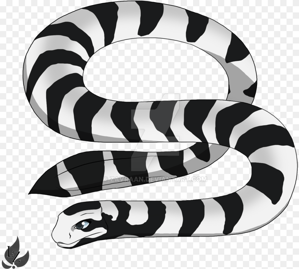 Drawn Snake Snake Banded Sea Snake Drawing, Animal, King Snake, Reptile, Face Free Transparent Png