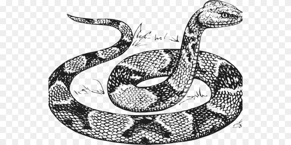 Drawn Snake Snake Line Drawing Of A Snake, Animal, Reptile Png Image