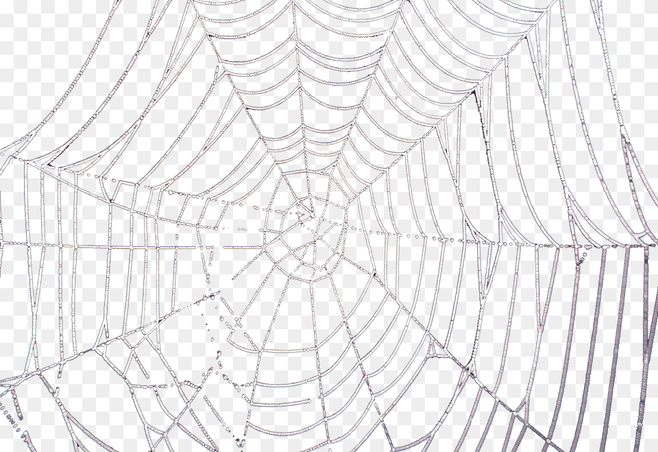 Drawn Spider Web Transparent Tumblr, Spider Web Free Png Download