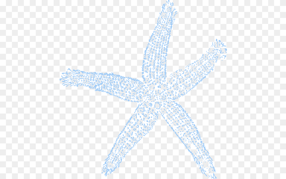 Drawn Starfish Blue Starfish Gold Or Silver Metallic Shoe Upgrade Gold Silver Bridal, Animal, Sea Life, Invertebrate Free Transparent Png