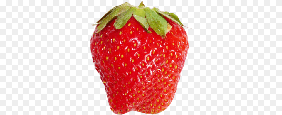 Drawn Strawberry Background Strawberry, Berry, Food, Fruit, Plant Free Png