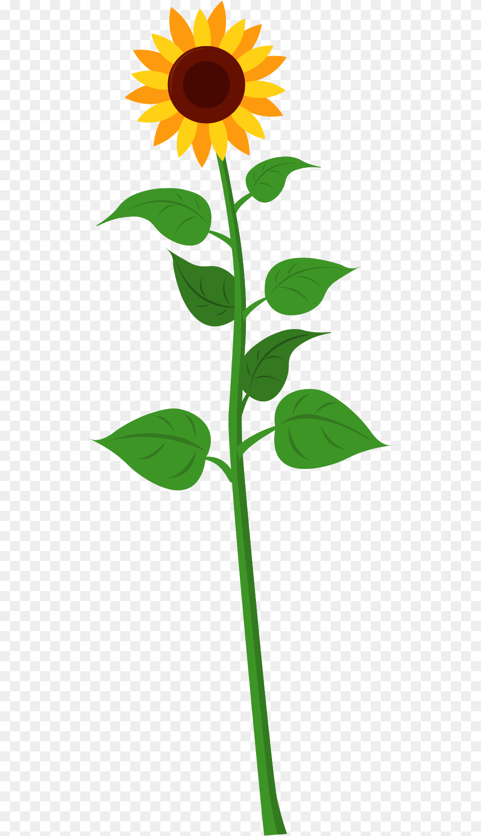 Drawn Sunflower Tall Sunflower Clip Art Of Tall Sunflower, Flower, Plant, Leaf Free Png Download
