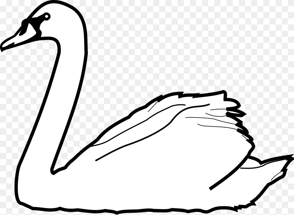 Drawn Swan Wildlife Swan Clip Art Black And White, Animal, Bird Free Png