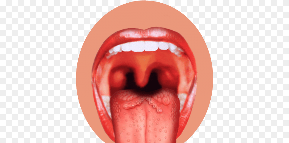 Drawn Tongue Taste Buds, Body Part, Mouth, Person, Food Free Transparent Png