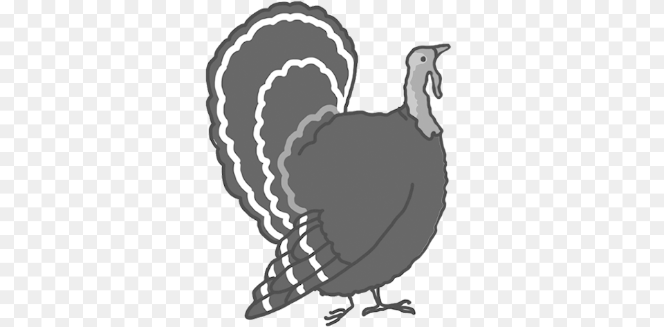 Drawn Turkey Clipart Thanksgiving, Animal, Bird, Fowl, Poultry Free Transparent Png