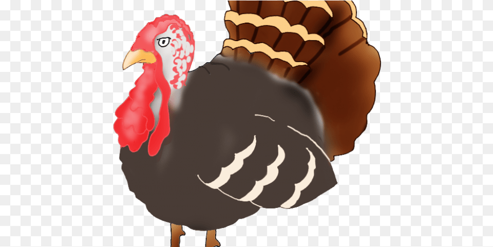 Drawn Turkey Transparent Turkey, Animal, Bird, Fowl, Poultry Free Png
