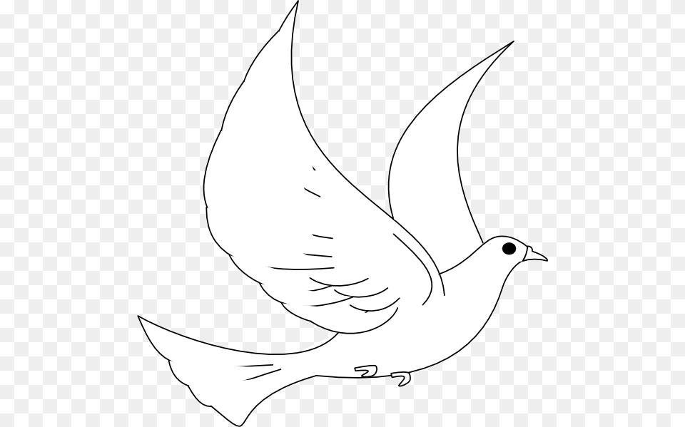 Drawn Turtle Dove Animated Transparent Dove Vector Animal, Bird, Pigeon, Fish Free Png