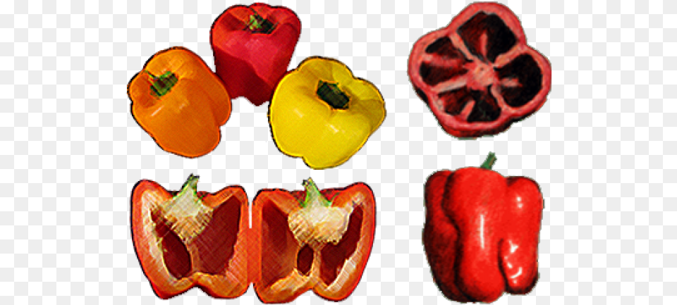 Drawn Vegetable Green Pepper Draw A Pepper Cut In Half, Bell Pepper, Food, Plant, Produce Png Image