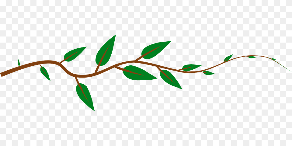 Drawn Vine Greenery, Plant, Leaf, Pattern, Art Free Transparent Png