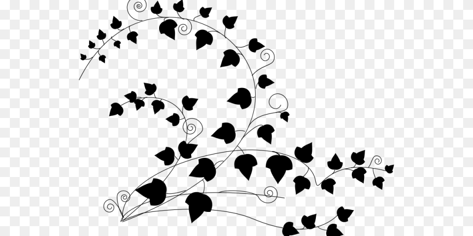 Drawn Vine Poison Ivy Vine Ivy Black And White, Gray Png