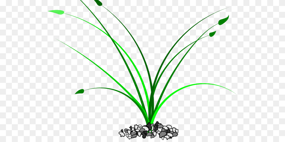 Drawn Weed Grass Patch Clip Art, Graphics, Green, Floral Design, Pattern Png Image