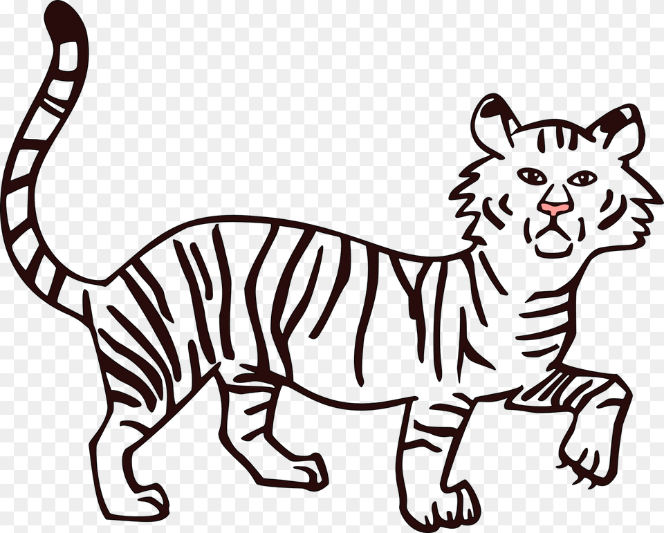 Drawn White Tiger Line Drawings To Fill Color, Animal, Mammal, Panther, Wildlife Free Transparent Png