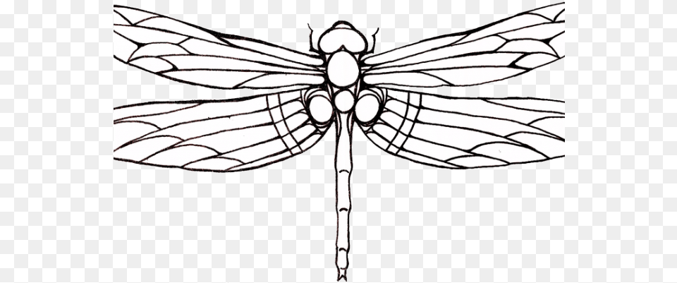 Drawn Wings Dragonfly Dragonfly Drawing, Animal, Insect, Invertebrate Free Transparent Png