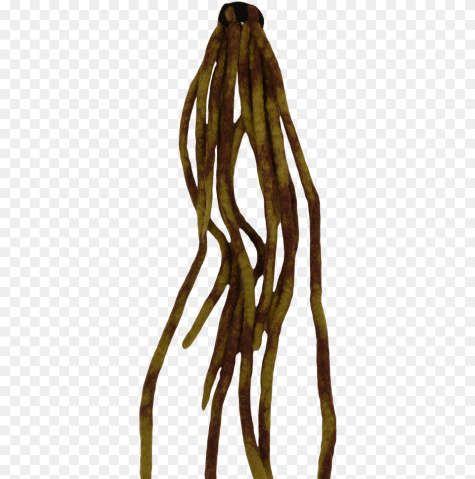 Dread Lock Hair Download, Plant, Root Png Image