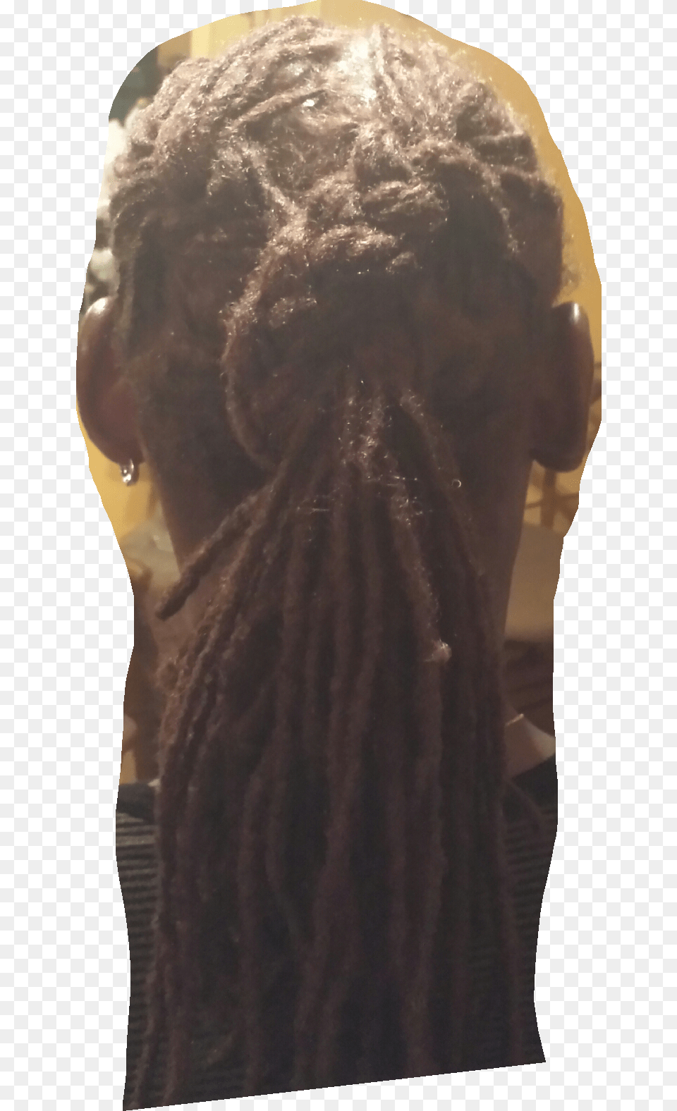Dreadlock, Adult, Female, Person, Woman Png Image