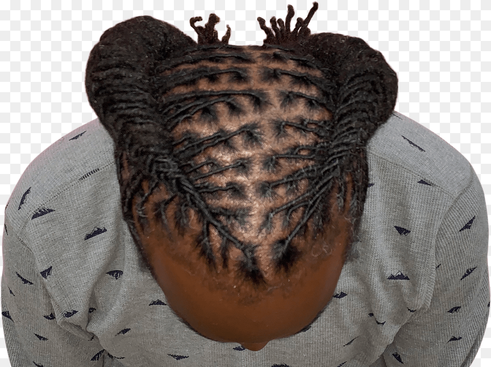 Dreadlock Png Image