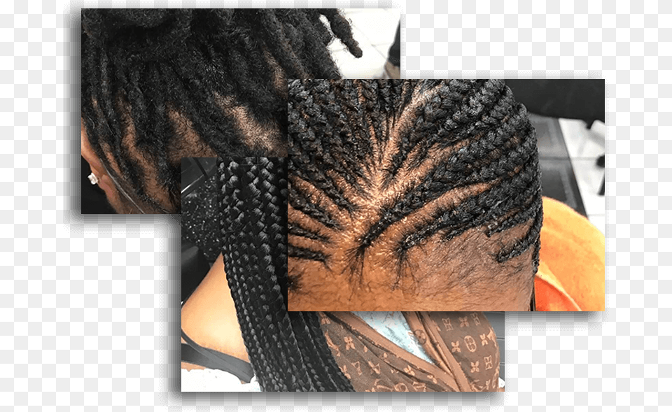 Dreadlocks And Retwist Micro Braids Pick And Drop Lace Wig, Hair, Person, Adult, Female Png Image